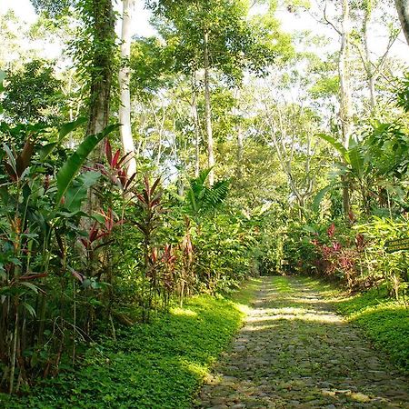 Takalik Maya Lodge El Asintal Εξωτερικό φωτογραφία