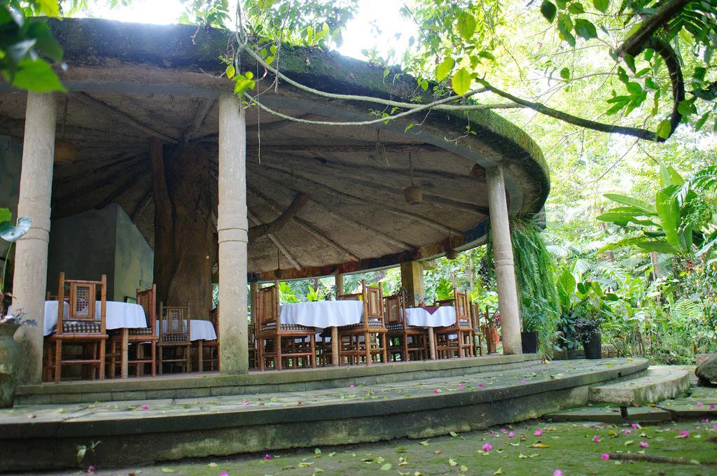Takalik Maya Lodge El Asintal Εξωτερικό φωτογραφία